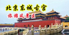 大黑鸡巴强操丝袜美女视频中国北京-东城古宫旅游风景区